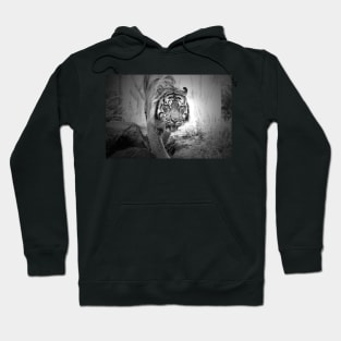On The Move Hoodie